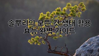 솔뿌리의 모든 것: 생태, 활용, 효능 완벽 가이드 🌲✨