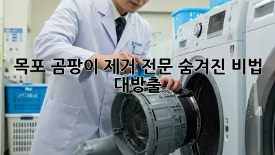 목포 곰팡이 제거 전문: 숨겨진 비법 대방출! 🤫